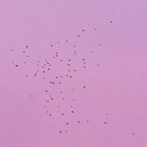 "Cellphone" ✦ prod.90