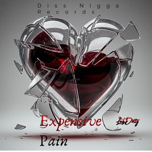 Expensive Pain