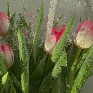 世界上的另一个我 cover 阿肆&郭采洁