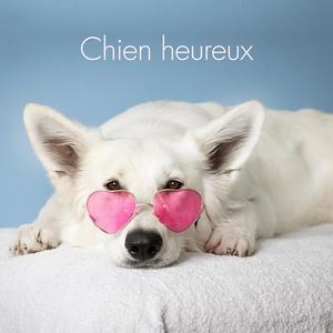 Se débarrasser du stress