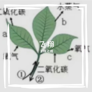 旧爱已成过往