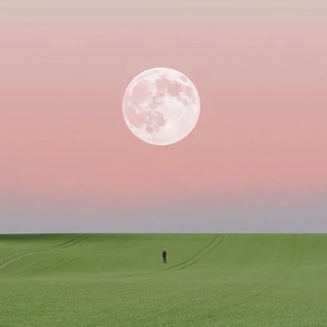 我爱你中国（热播版）ai单依纯