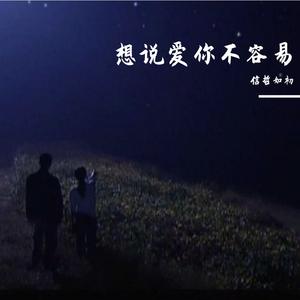 想说爱你不容易（翻自 王志文）