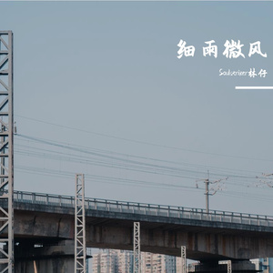 细雨微风 （cover 盛哲）