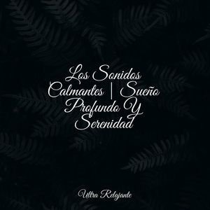 Camino De La Cola De Algodón