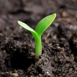 因果律（prod by Burger）