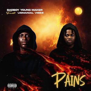 Pains (feat. Usmanial Vibez)