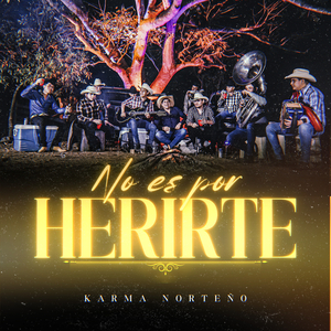 No Es Por Herirte
