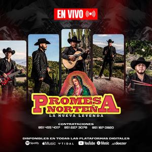 La borreguita (en vivo)