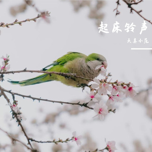 温柔起床铃声（天真小范 remix）