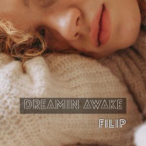 Dreamin Awake