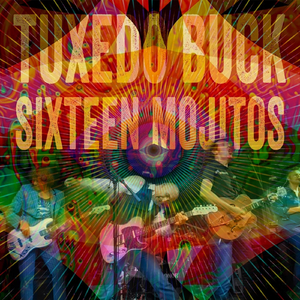 Sixteen Mojitos