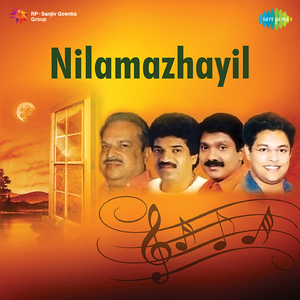 Parayu Nin Mizhikonilendhe