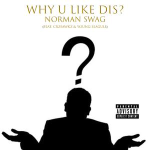 Why U Like Dis? (feat. CRZFawkz & Young Seagull)