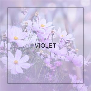 Lilac Reverie (Kalimba)