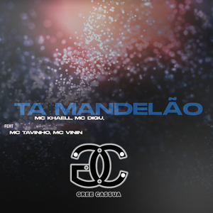 Ta Mandelão (feat. MC Tavinho & MC Vinin)