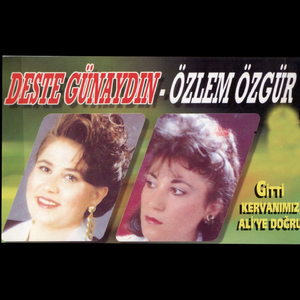 Yavrusunu Yitirmiş Bülbül Misali