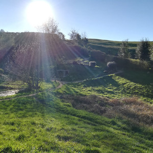 サウンドチェイサー