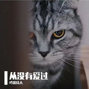 从没有爱过