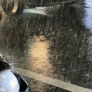 指纹雨季