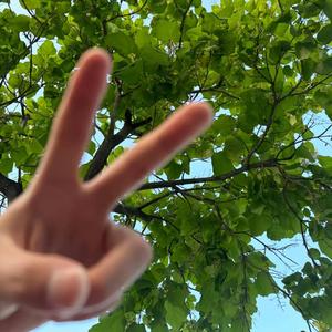 青春的纪念 (Remix)