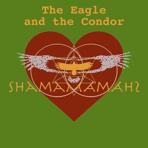 The Eagle and the Condor