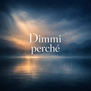Dimmi perchè