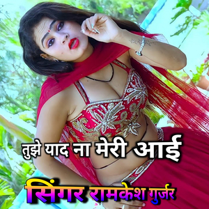 तुझे याद ना मेरी आई