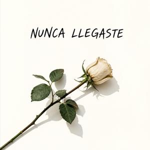 NUNCA LLEGASTE (SOUL)