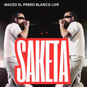 saketa (live)