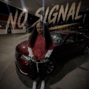 NO SIGNAL