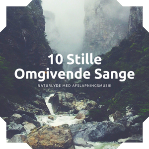 Stille Omgivende Sange
