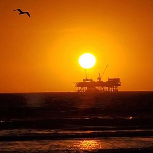 【FREE】“海鸥”#RodWavexkenrobb typebeat2023