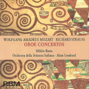 Oboe Concerto in D Major, TrV 292: I. Allegro moderato