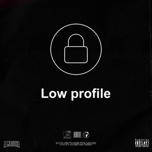 Low Profile
