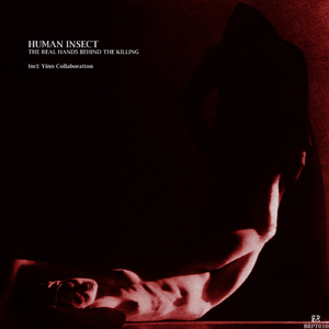 Discreet Manipulation (Original Mix)