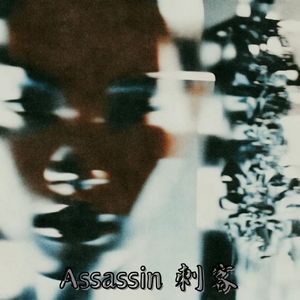 Assassin 刺客