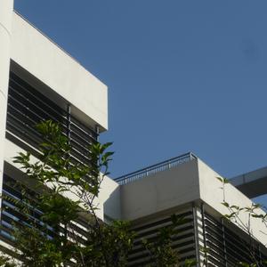 我们从这儿飞翔