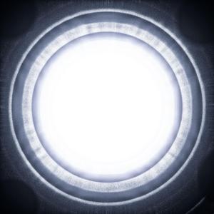 Corporis