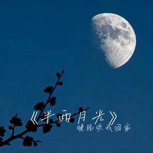 半两月光