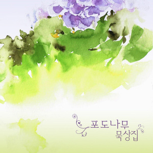 이 세상엔 하느님 법칙 있네