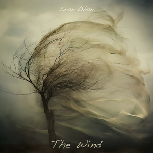 The wind