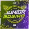 Junior Gobira - Te Uso E Jogo Fora