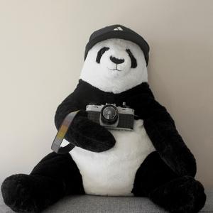 PANDA!
