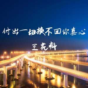 付出一切换不回你真心