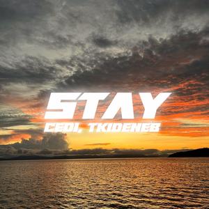 Stay