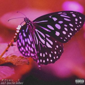 Options (feat. sendflowrs)