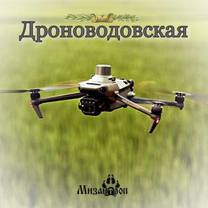 Дроноводовская