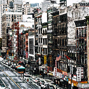 Crown Imperial Monocarp