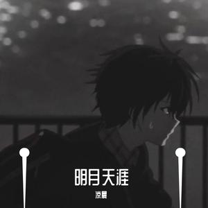 明月天涯（抖音男声版）